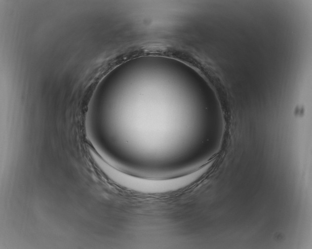 X0000114001445200910021305