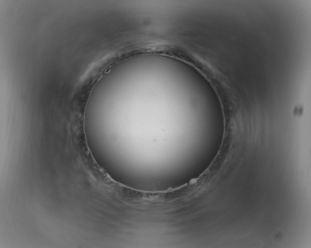 X0000114001447200910021305