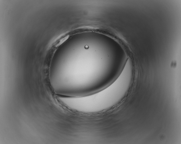 X0000114001448200910021305