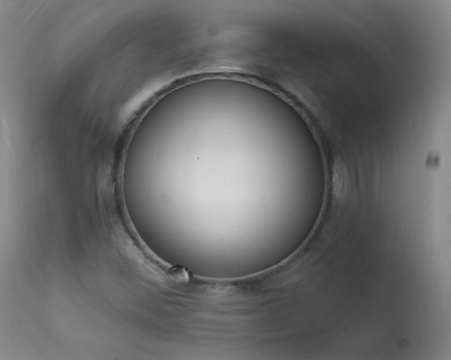 X0000114001452200910021305