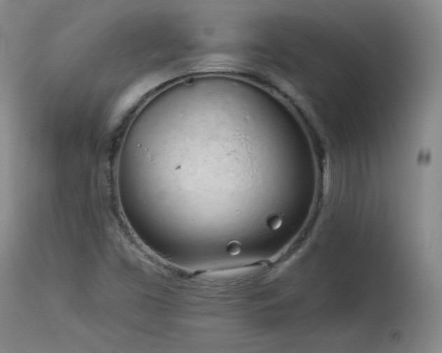 X0000114001453200910021305