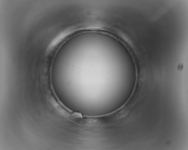 X0000114001456200910021305