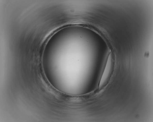 X0000114001457200910021305