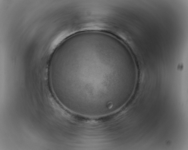X0000114001459200910021305