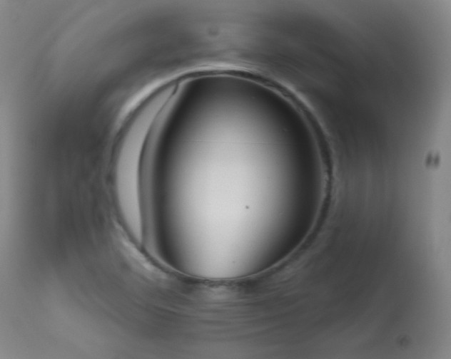 X0000114001460200910021305