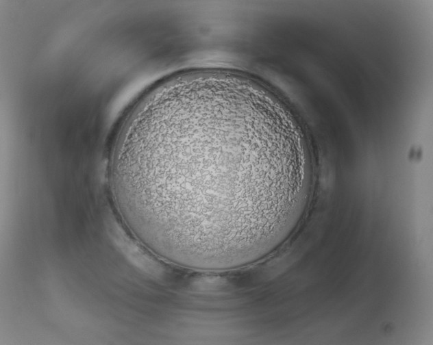 X0000114001462200910021305