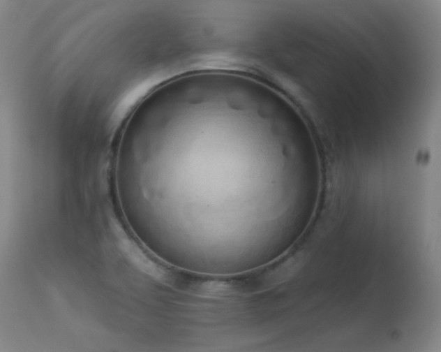 X0000114001463200910021305