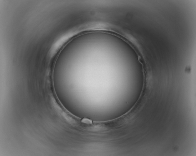 X0000114001464200910021305