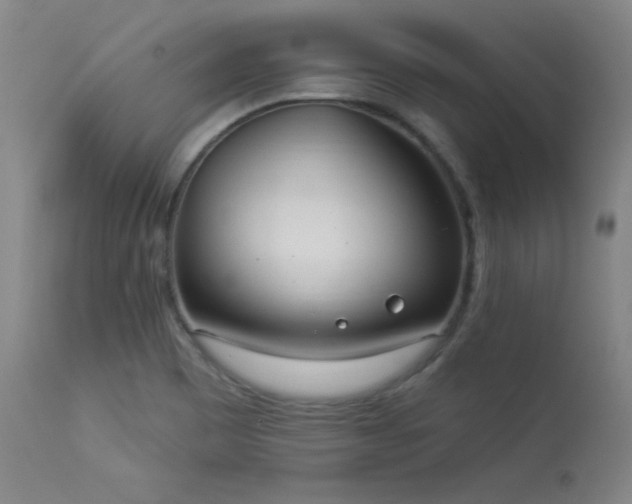 X0000114001465200910021305