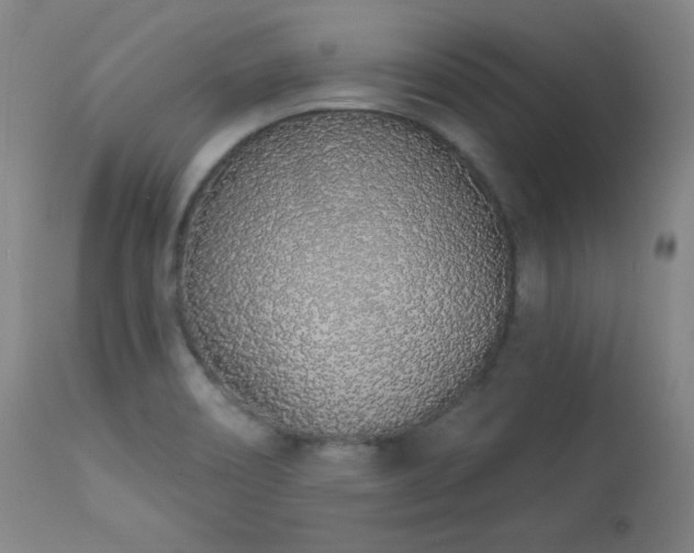 X0000114001466200910021305
