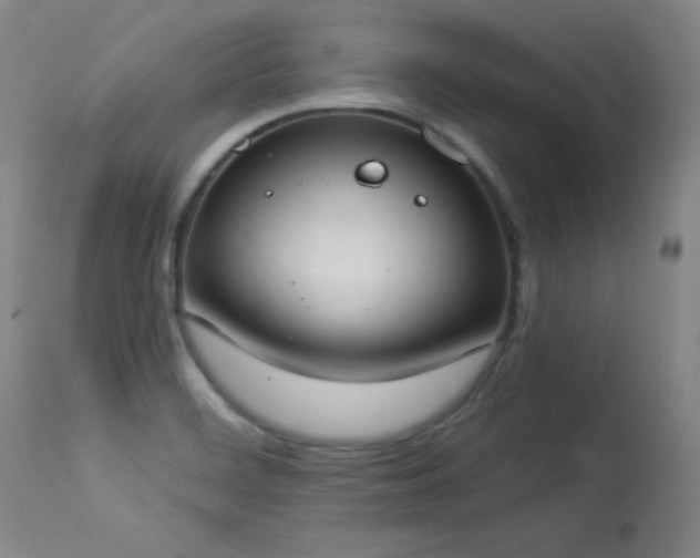 X0000114001468200910021305