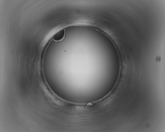 X0000114001469200910021305