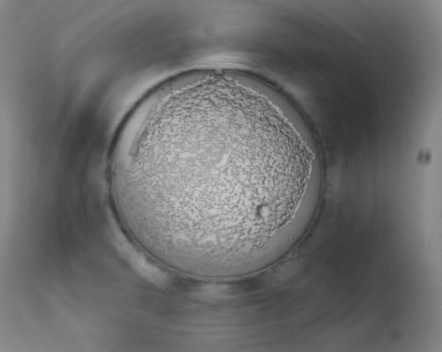 X0000114001470200910021305