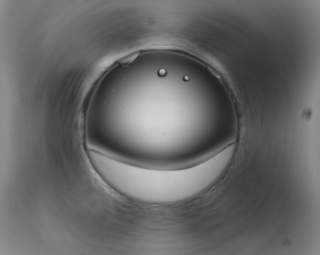 X0000114001472200910021305