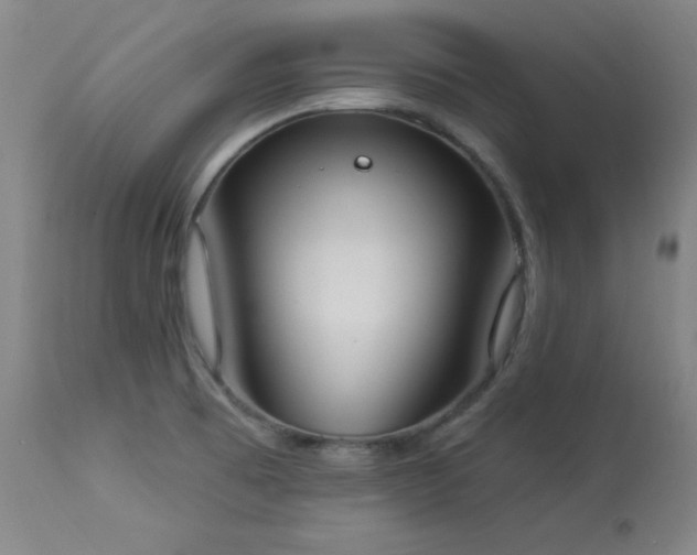 X0000114001473200910021305