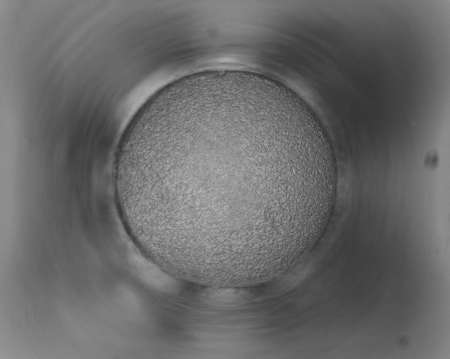 X0000114001474200910021305