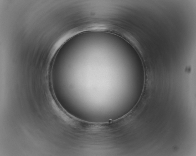 X0000114001475200910021305