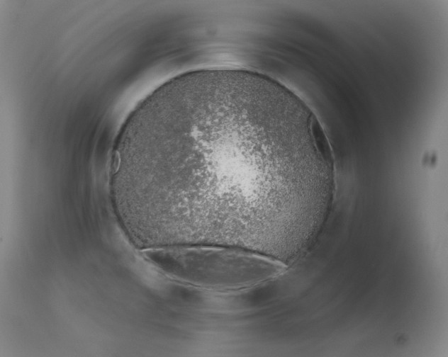 X0000114001477200910021305