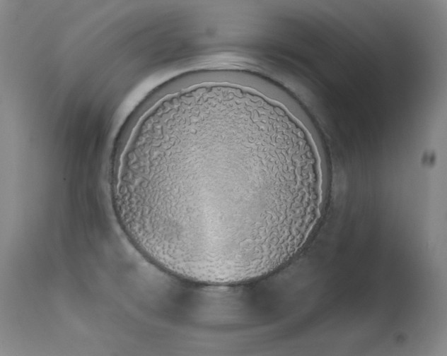 X0000114001478200910021305