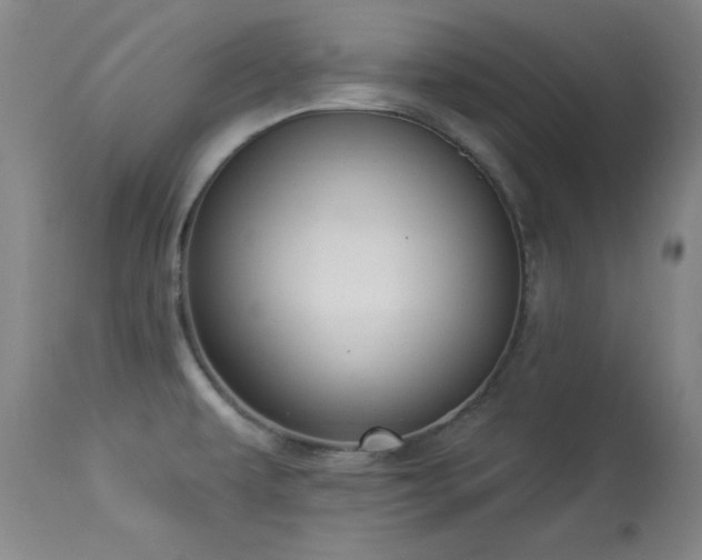 X0000114001479200910021305