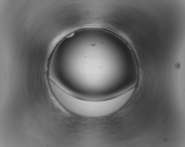 X0000114001480200910021305