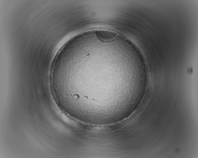 X0000114001482200910021305