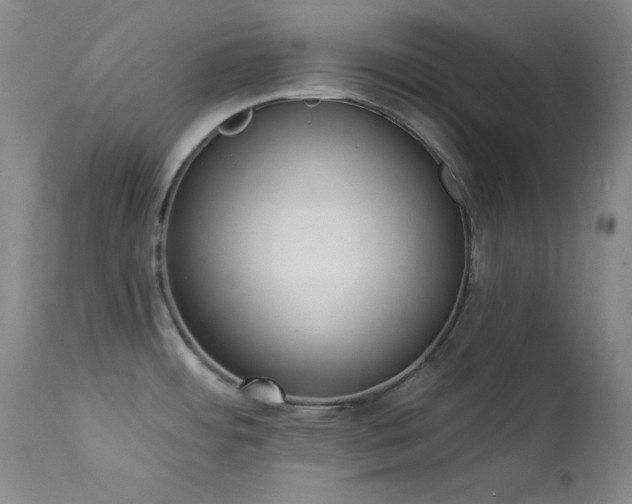 X0000114001484200910021304