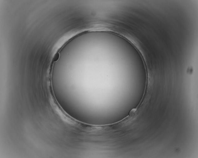 X0000114001485200910021304