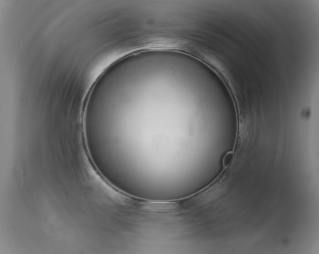 X0000114001487200910021304