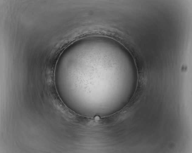 X0000114001490200910021304
