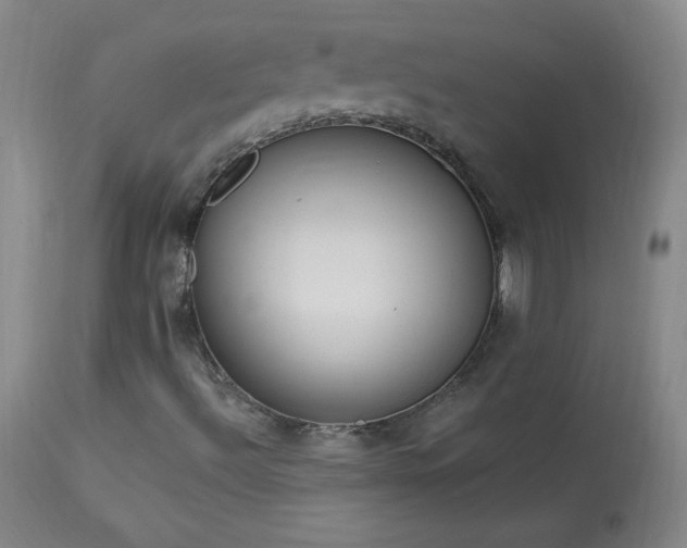 X0000114001492200910021304