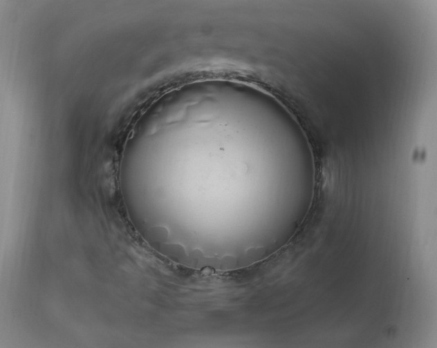 X0000114001493200910021304