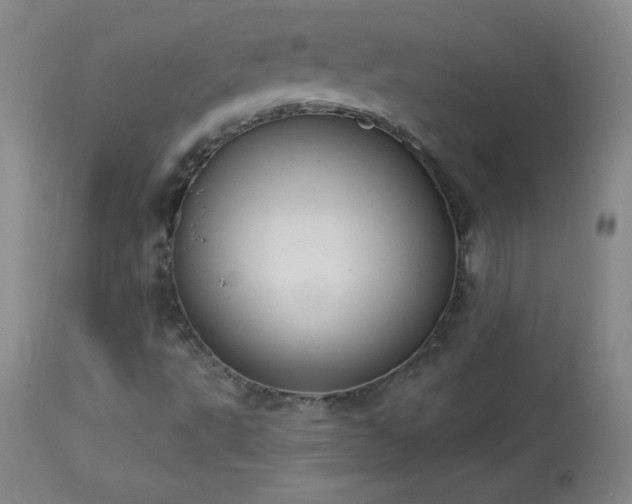 X0000114001495200910021304