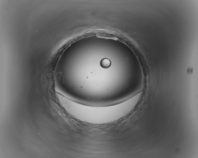 X0000114001496200910021304