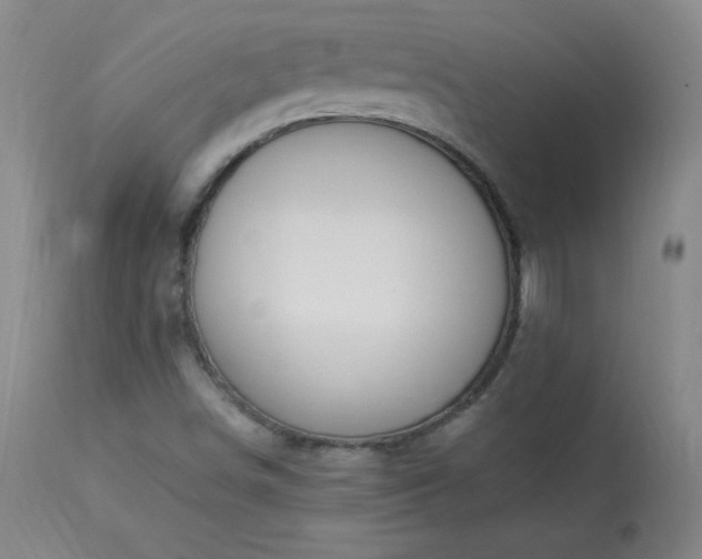 X0000114001498200910021304