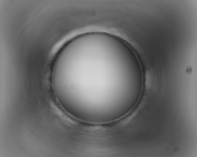 X0000114001502200910021304