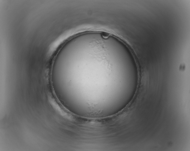 X0000114001503200910021304