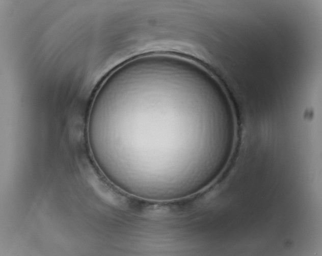 X0000114001505200910021304