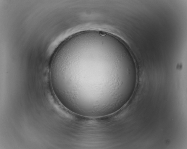 X0000114001507200910021304