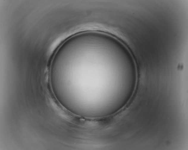 X0000114001509200910021304