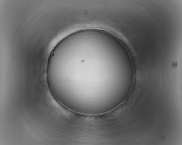 X0000114001512200910021304