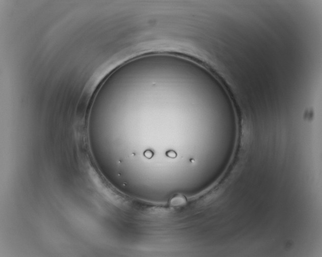 X0000114001513200910021304
