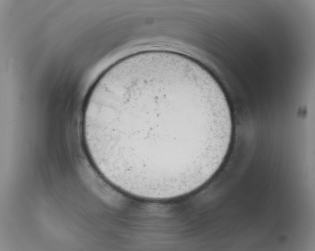 X0000114001514200910021304