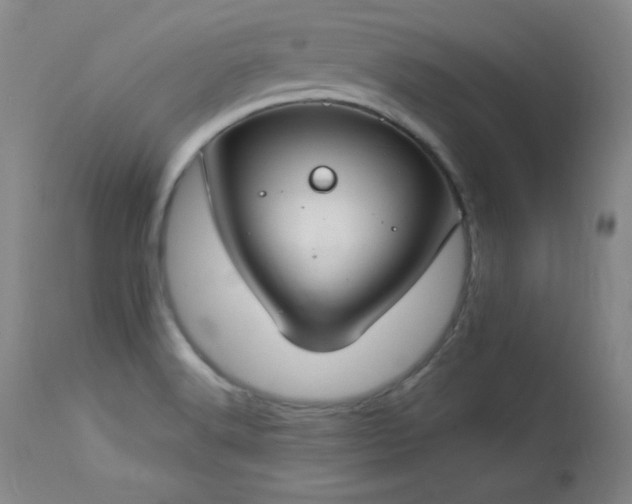 X0000114001516200910021304
