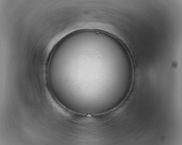 X0000114001517200910021304