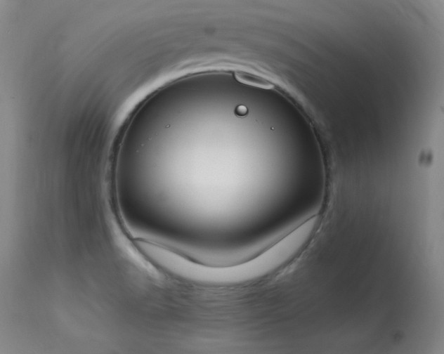 X0000114001518200910021304