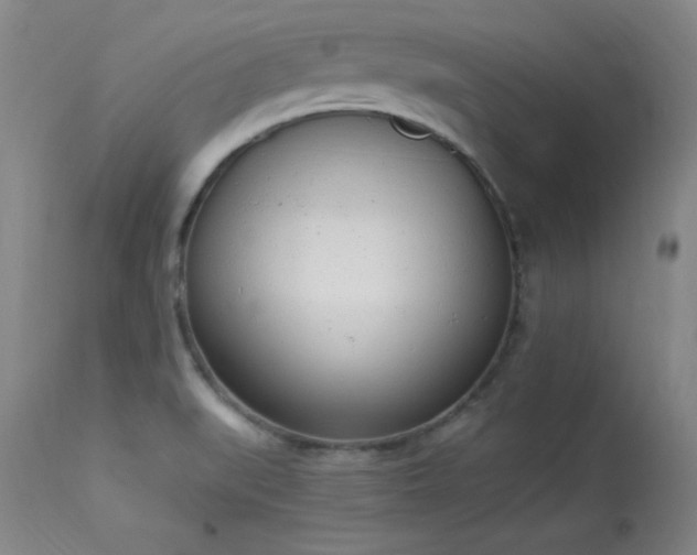 X0000114001519200910021304