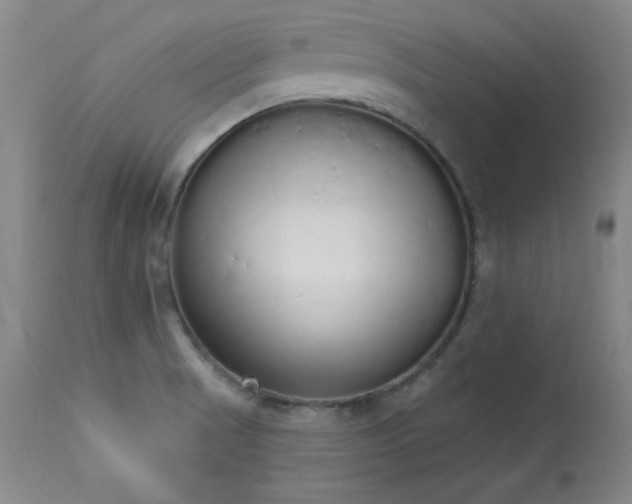 X0000114001521200910021304