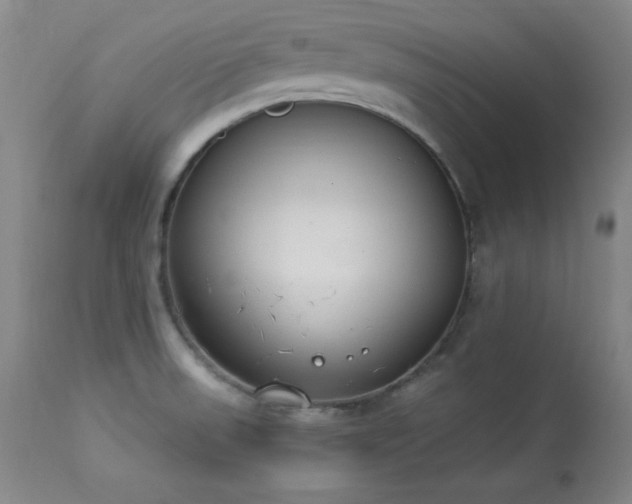 X0000114001523200910021304