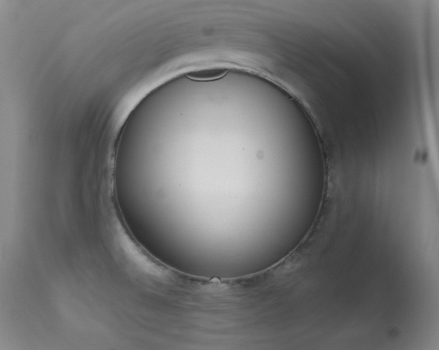 X0000114001524200910021304